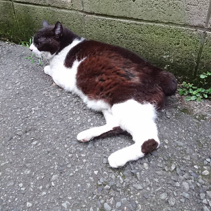 Cb2665b2 f59e 4fea 9fed 3e2772a98e87 1686648419567