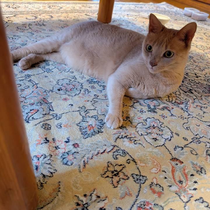 Cb268eec 6c58 4c05 ae9e 04138835beaa 1774825927487