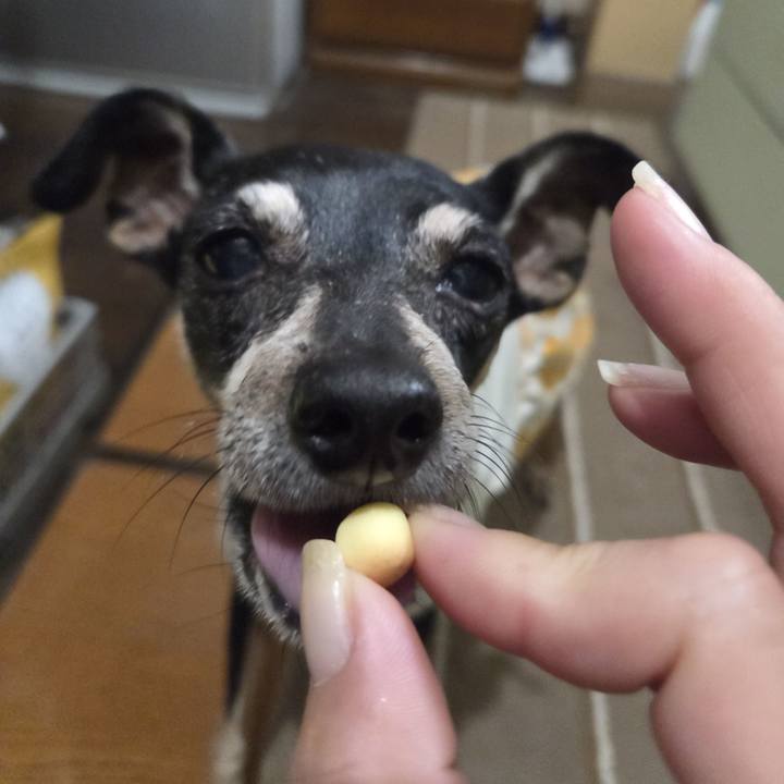 Cb26cb0b 5643 4049 907f b12477ccfcc7 1755546003891