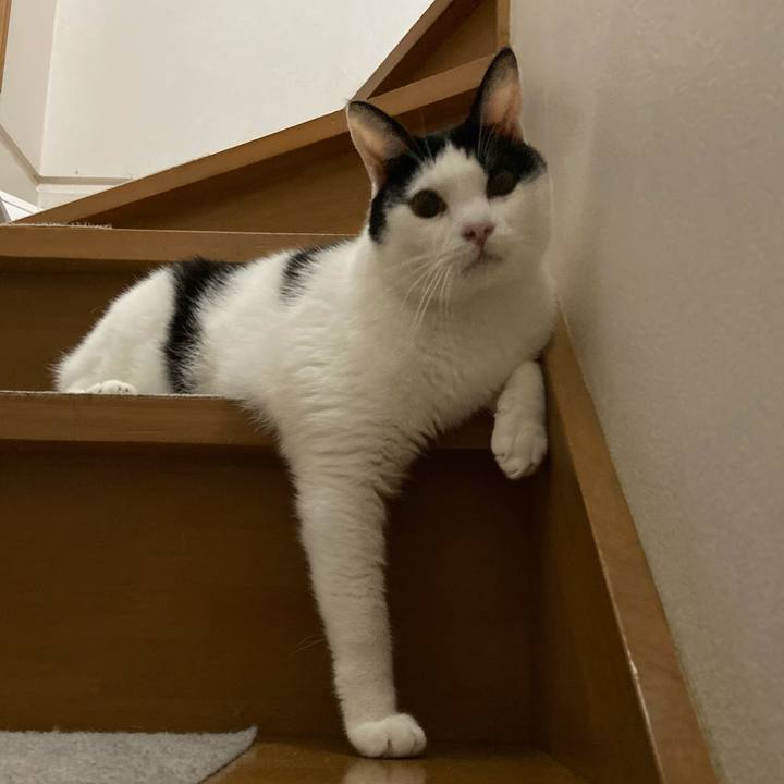 Cb26eb1b e56a 453f b945 da23bf45fc6e 1576667529908