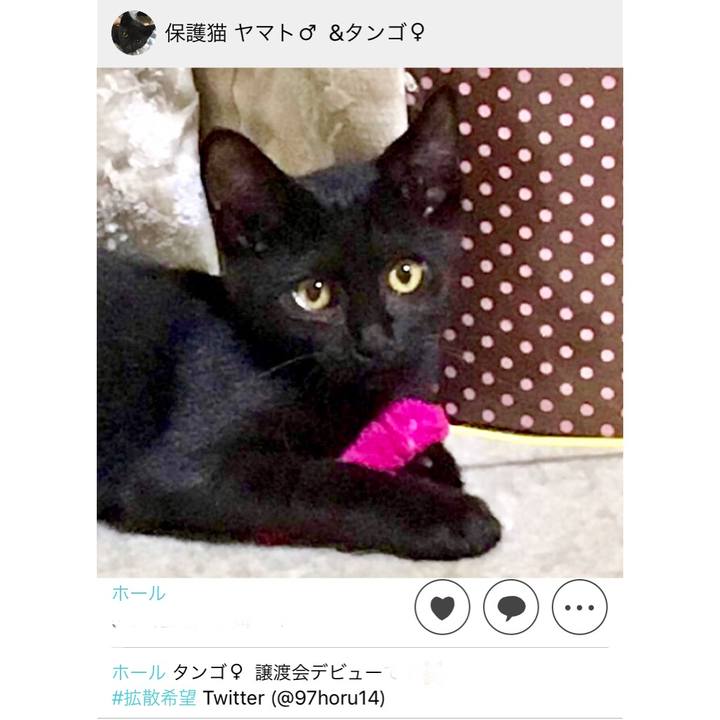 Cb26f311 ea1f 4fad bdcd cbed254e749b 1538015774438