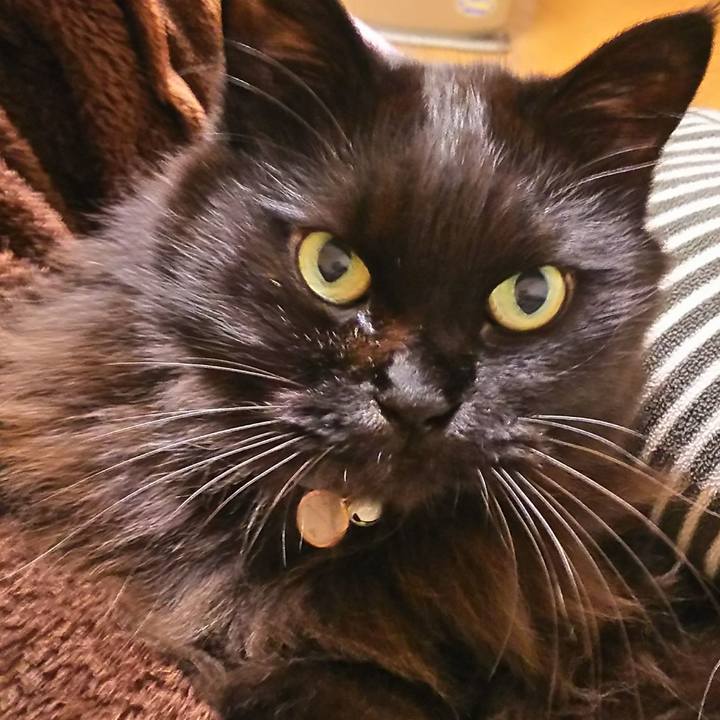 Cb271210 4fc7 49af 97b0 c740f67f53f3 1545574817649