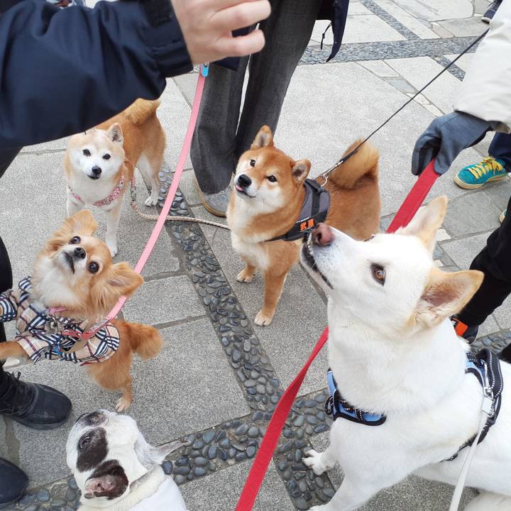 Cb2727ad 0f1b 4651 b722 5cae1ed7afaf 1678002615908