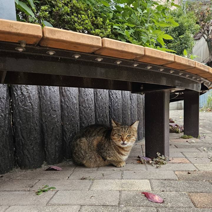 Cb2754d2 456d 4fe4 a47b 601408077878 1699710664337