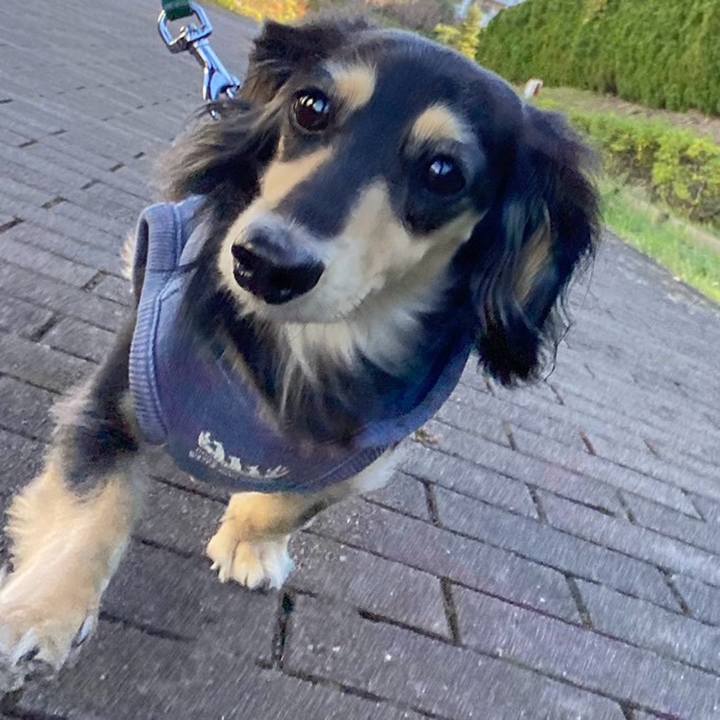 Cb275819 e4a4 47c5 a62b 55abe2a5fa0a 1734758307172