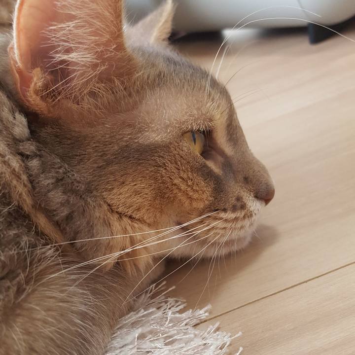 Cb27a9ed dc73 46e0 a623 cb99bc4936bf 1576669014425