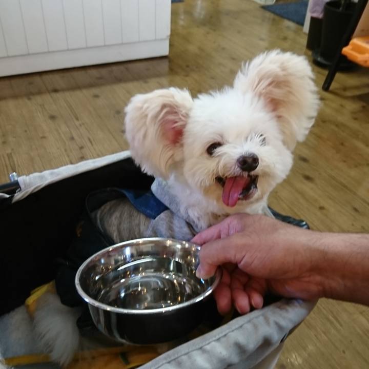 Cb27b5e4 0888 45e8 8f34 062aef9111ae 1571116431784