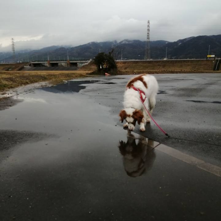 Cb27c64a c9a6 4202 8290 85738d60119e 1612222810488