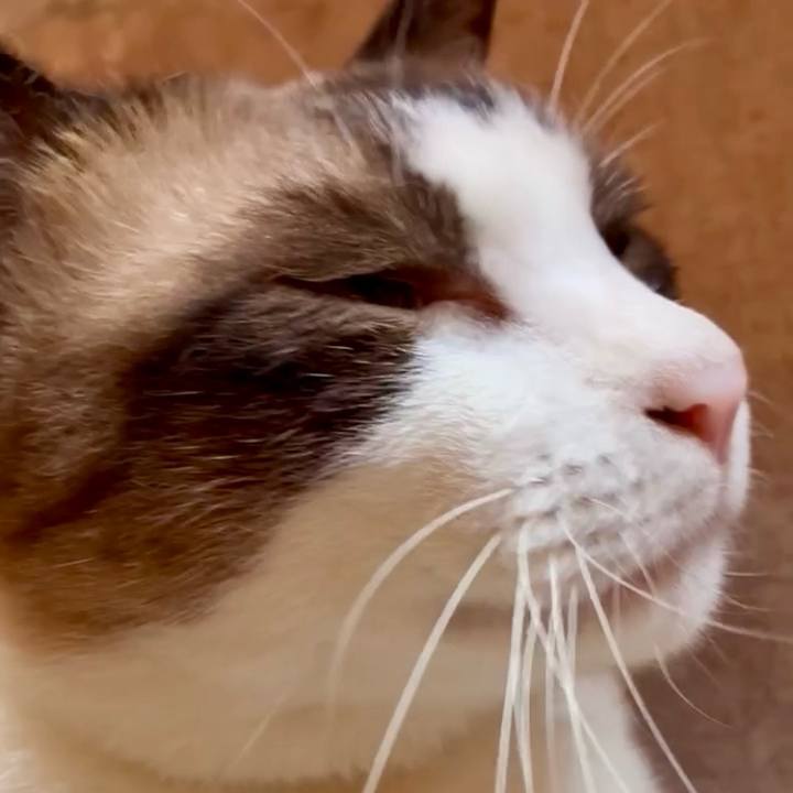 Cb27db09 1154 4060 84f4 bf1b24de8e05 1756433928710