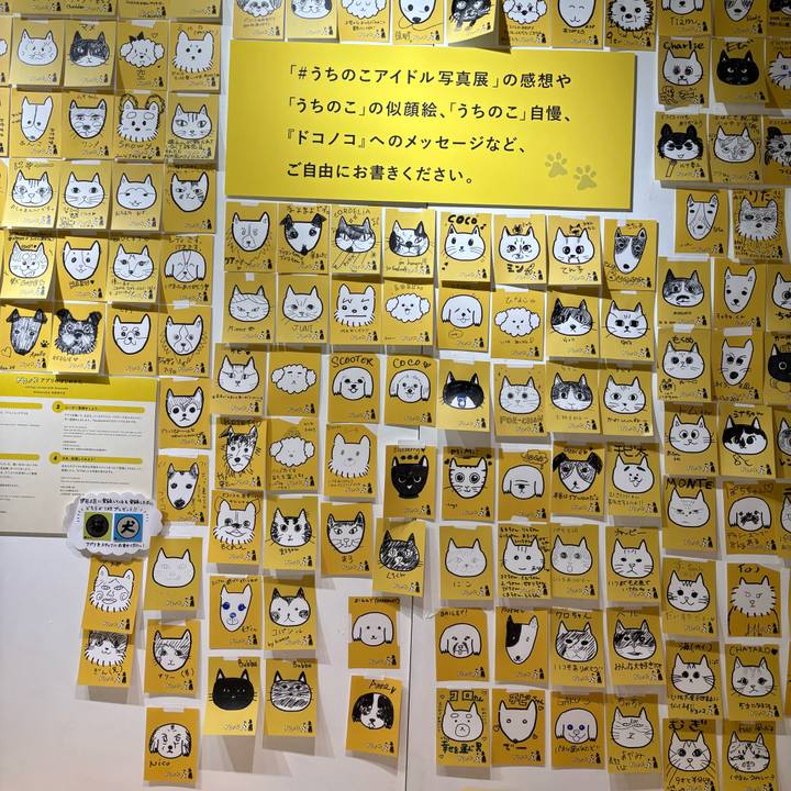 Cb27e03c edcd 4b3c a127 f90962b52e63 1762080026333