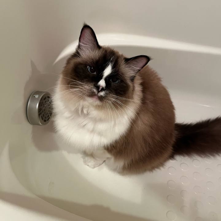 Cb27f6e5 2ed1 4740 add6 72e039387784 1702596898637