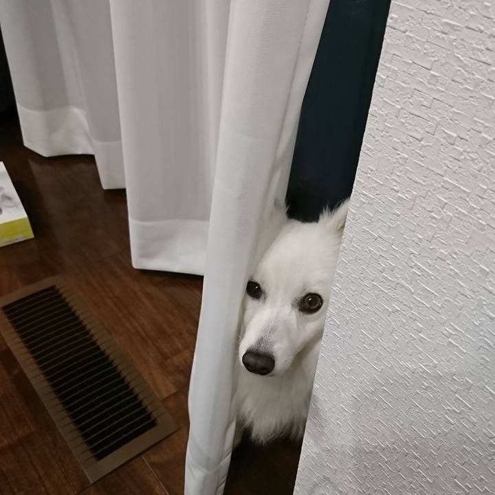 Cb27f9dc 7e58 43e1 b5c2 c885677f9992 1525710747932