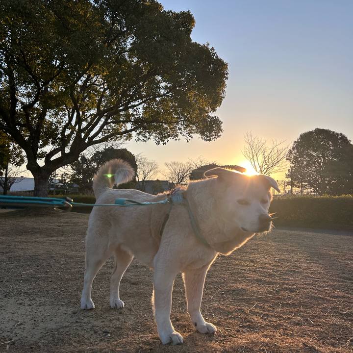 Cb28071c 330e 4676 a62c 0f0a58156397 1771063487013