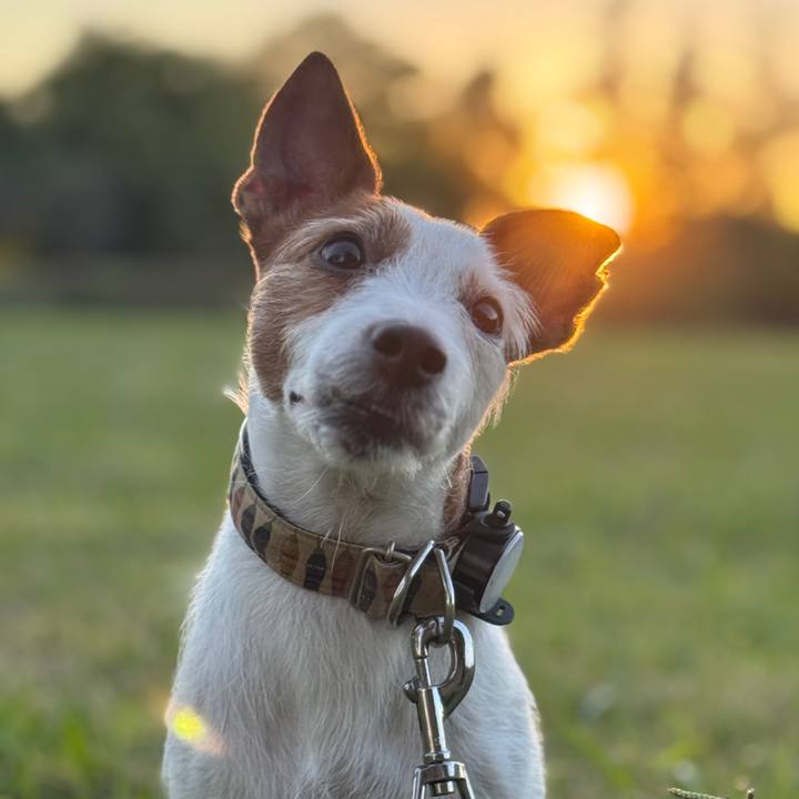 Cb280e54 6f89 46f5 8433 56ebe8225ecc 1761995763990