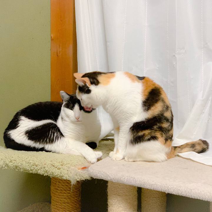 Cb2816bc 17c4 49b6 a480 7dd1acc219b0 1560390810115