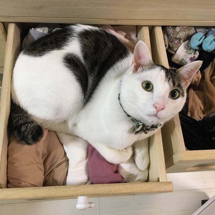 Cb281776 e586 4cf0 983c 7f8587c216f2 1510357013694