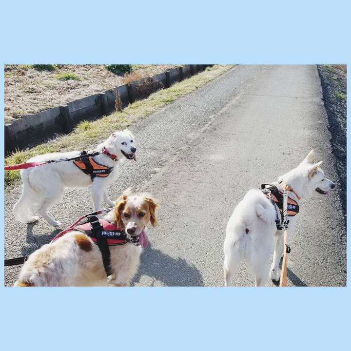 Cb284656 1a8e 4614 8c7c 8852e480d0cc 1678021340186