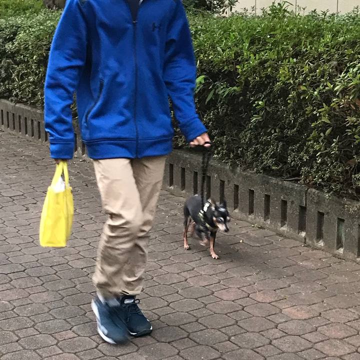 Cb286ebe db53 44b3 a06a 73a69ffe7bd9 1545946693447