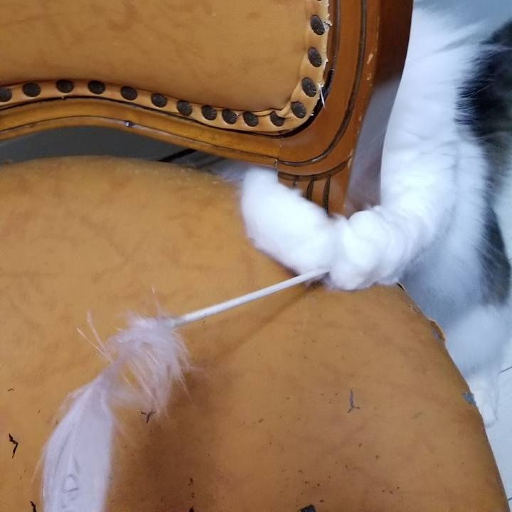 Cb287490 f325 47ca 97cd 7bc33d528c0b 1548366731695