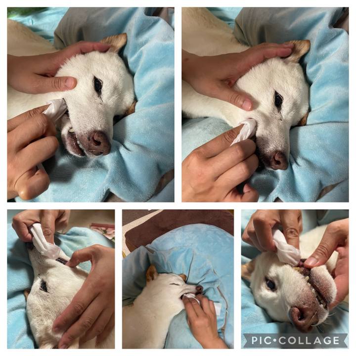 Cb287b58 b0e1 4a1d 8b4d faf1c4e452a0 1659273762430