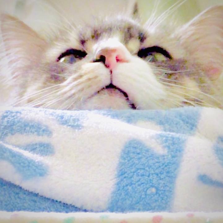 Cb289900 1663 4a9f 8478 9b2e164a4696 1579283231175