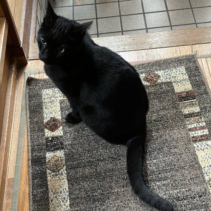 Cb28a0f7 18a7 46d5 bab1 419e7d95cdd2 1668911836424