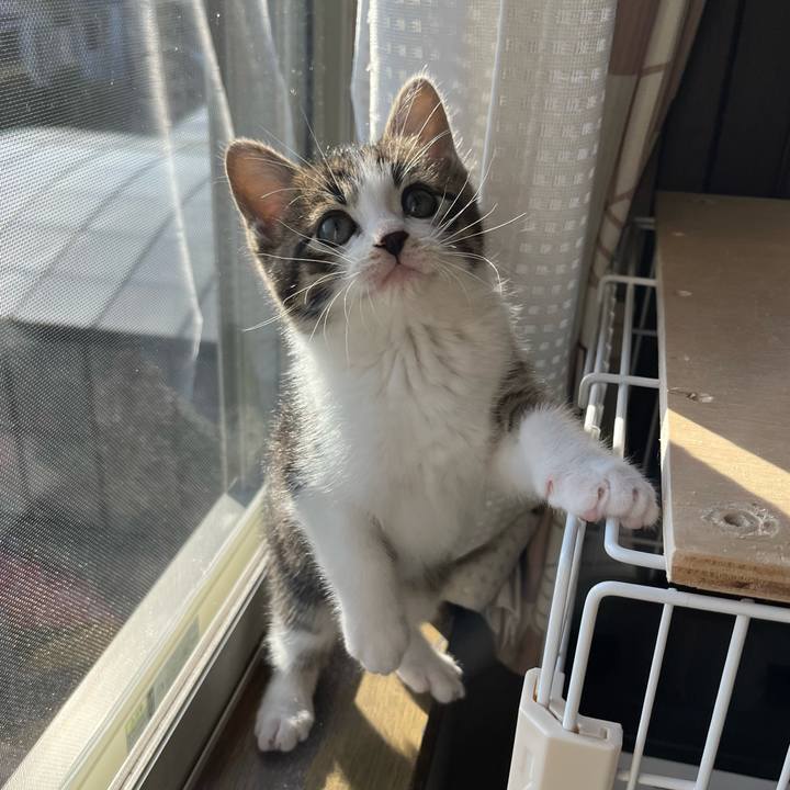 Cb28b4fe 60ba 478e 86a8 14968d455f9e 1765604384068