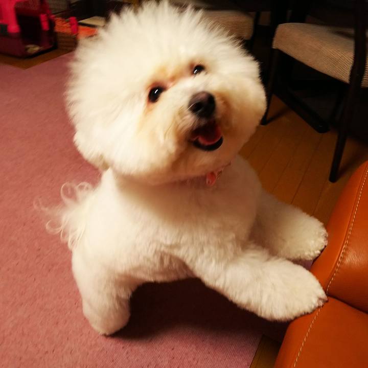 Cb28fd97 3aab 4178 b758 7f9a483baea1 1548760537951