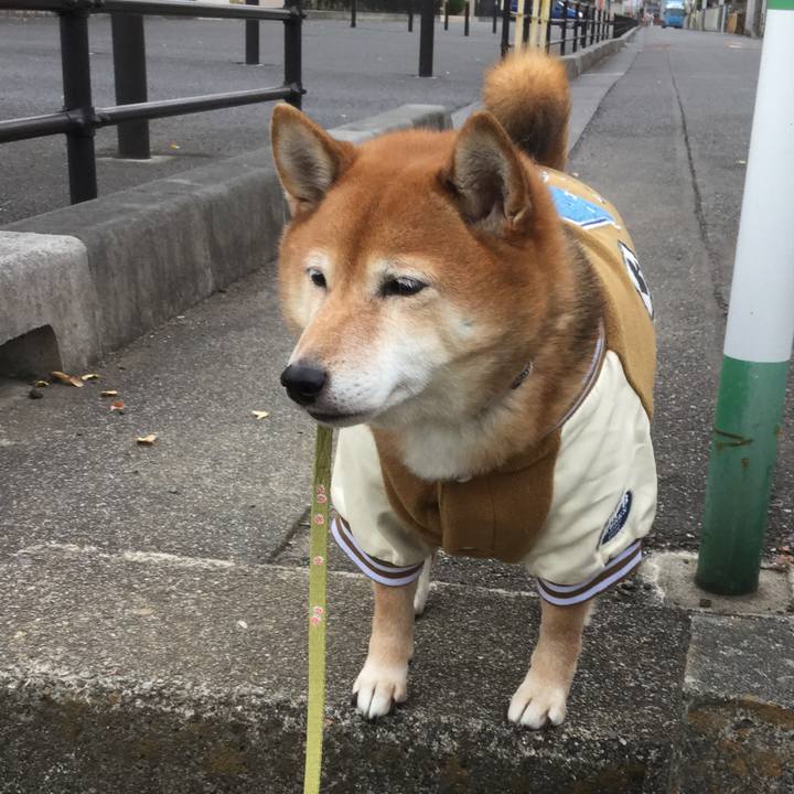 Cb296725 0a55 4c1f 953e cf8a87a68967 1576721566491