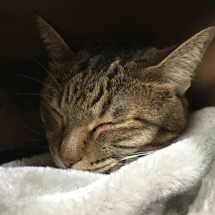 Cb29749a 2db5 4944 932d d98b64c6fcd5 1531137385489