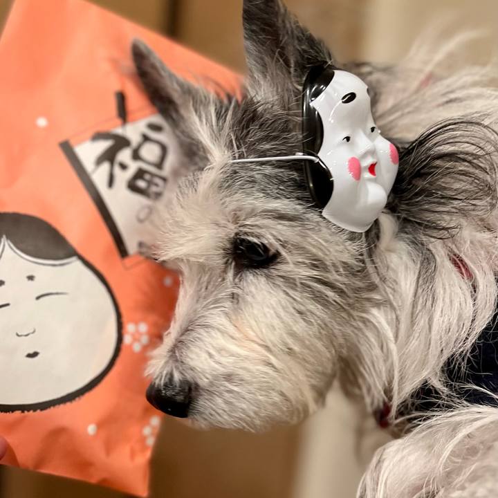 Cb2994e8 77eb 40c3 95e1 41888f87b1d6 1675438657694