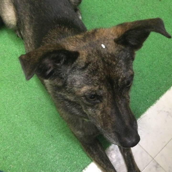 Cb29a656 c91d 409d 8196 dd4b61e50a97 1632046516658