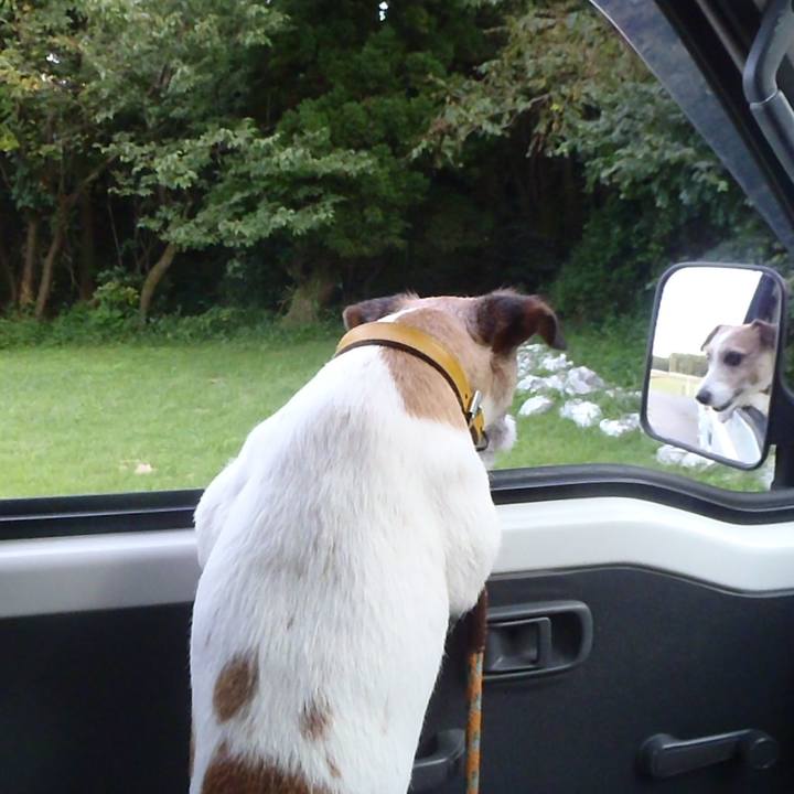 Cb29c1c4 e23f 409f 9c3d a50111e415a1 1521276733460