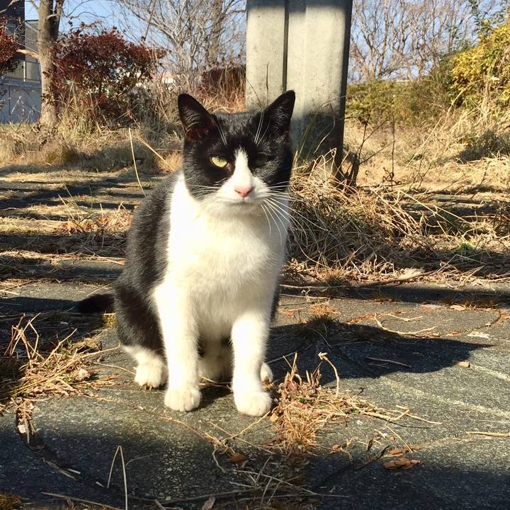 Cb29d71d d8db 4ad0 8830 1fa6ba3fcbc3 1547370753038