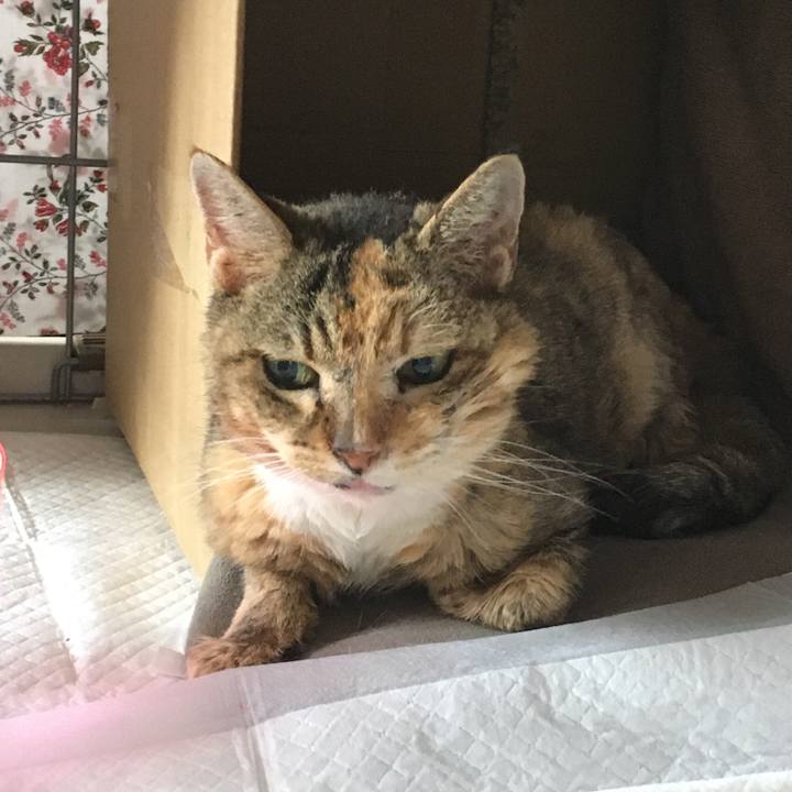 Cb29e1b0 9a20 4850 8d1c 96014099655c 1577764619276