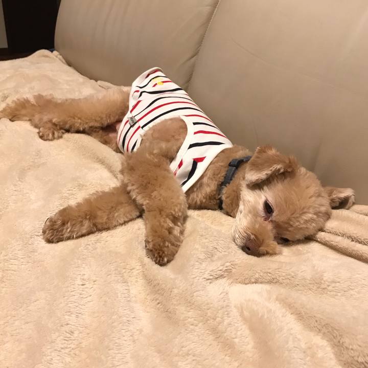 Cb2a1172 b4d3 438a bcb8 b5a65bf00215 1543464438131