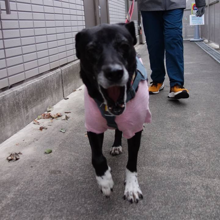 Cb2acd8c 0ad1 45d3 b03e 527800bd380f 1736640785278