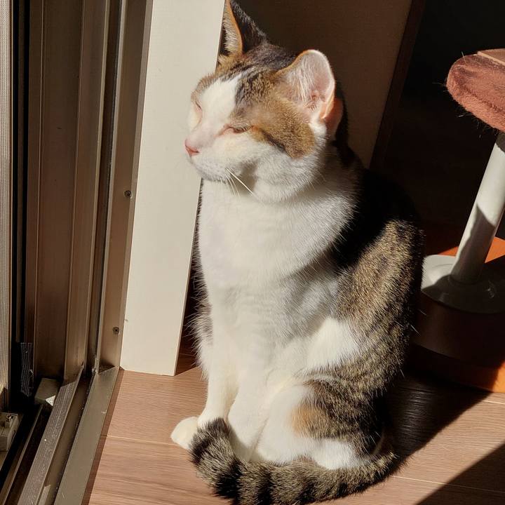 Cb2ad95f 9ca8 4d94 9094 7ab0019ced7f 1696980606450