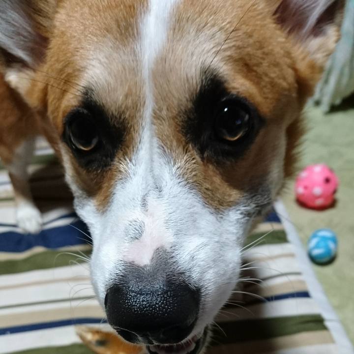 Cb2afa5f 244e 47db 925b 859370eee39a 1567768268777