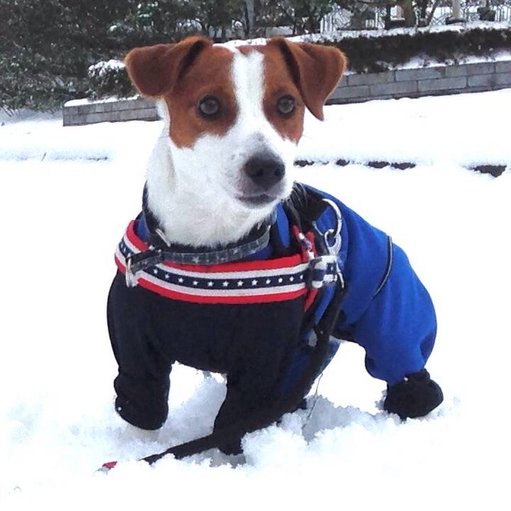 Cb2b2d5a c3f6 42ca 8122 b00bc2f2a5f8 1516863435179