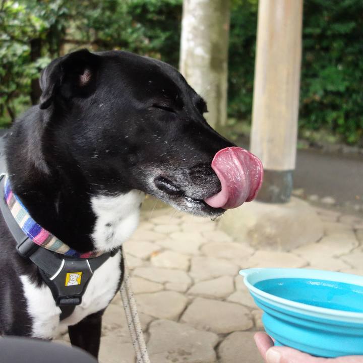 Cb2b30d4 6a35 4b9b 8395 bec601e247c6 1655858517293