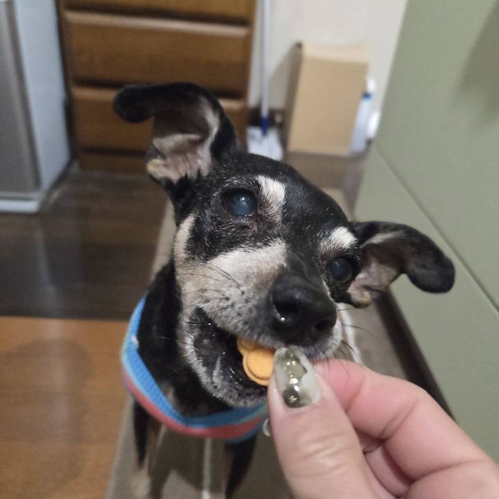 Cb2b5116 94b8 496b ae50 462331a9314a 1770148102037