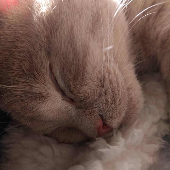 Cb2b9896 eaa0 4346 81fa 5d890d0e111a 1514615548342