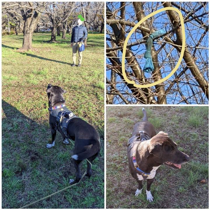 Cb2b9a9f 6eb1 441d 8dd8 2854dc1e93cb 1637976239207