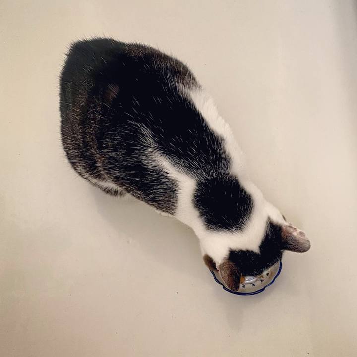 Cb2bf817 95f3 4c61 977f c507afaca9ac 1607232953457