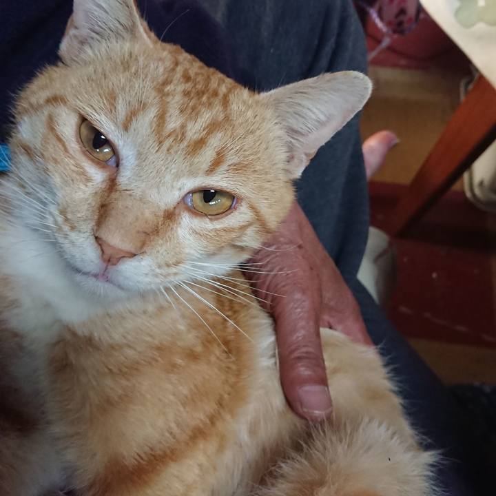 Cb2c07fd 48fb 4890 bab0 c81bd9a2cf05 1557263260422