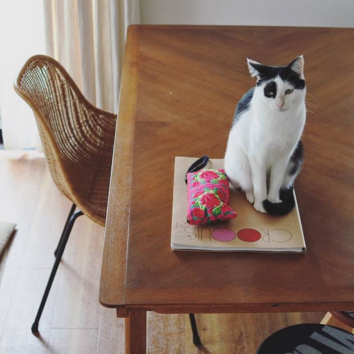 Cb2c51d7 0045 43d0 b338 af4e3f8cdc80 1540256921687