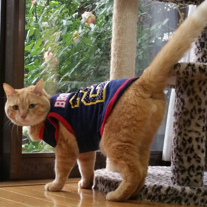 Cb2c72fa 5eb6 4826 b182 b0e38984aedd 1559861890122