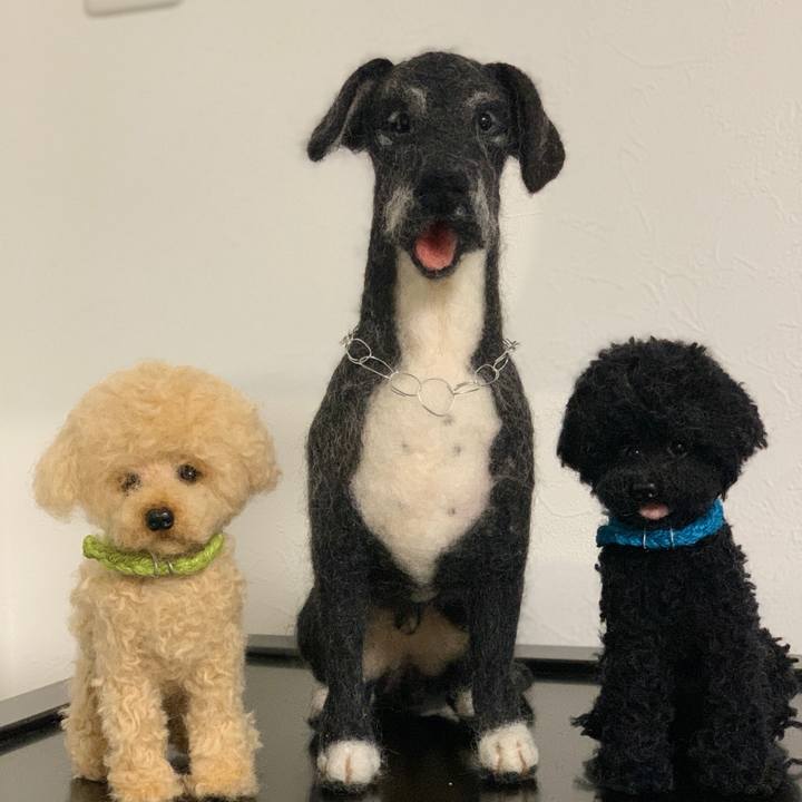 Cb2c77f1 c580 4b39 a2df 84b9ff82eea9 1602332001977