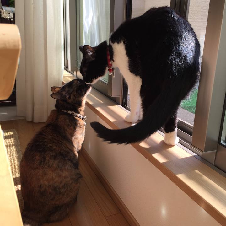 Cb2c7ec9 b921 424f 8538 2331654d7de0 1520041391816